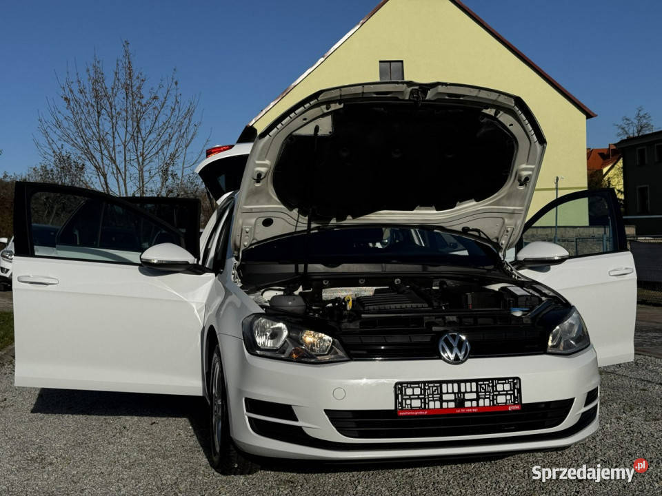 Volkswagen Golf VII 12 TSI 87 5drzwi Bały 2 kpl Strzegom