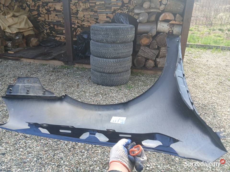 Błotnik Lewy przedni Volkswagen Golf V lak LD5Q Radłów