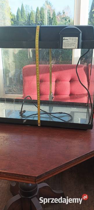 akwarjum rybek z dodatkami