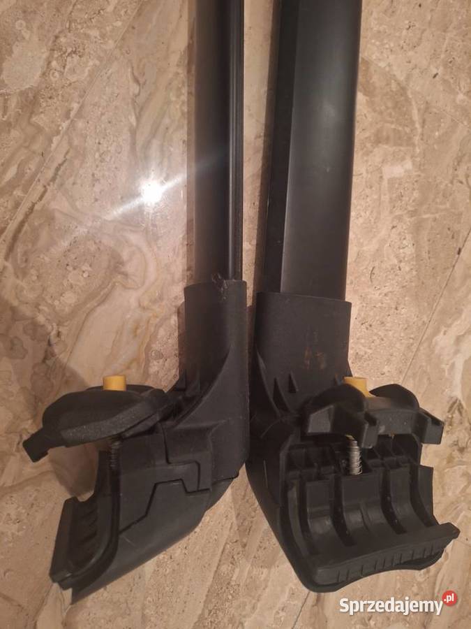 Belki dachowe Wrocław