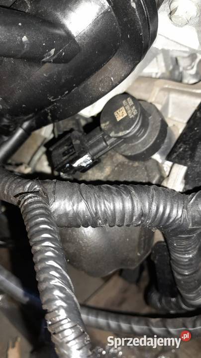 Silnik Ford Transit Custom NAPRAWA WYMIANA Radom