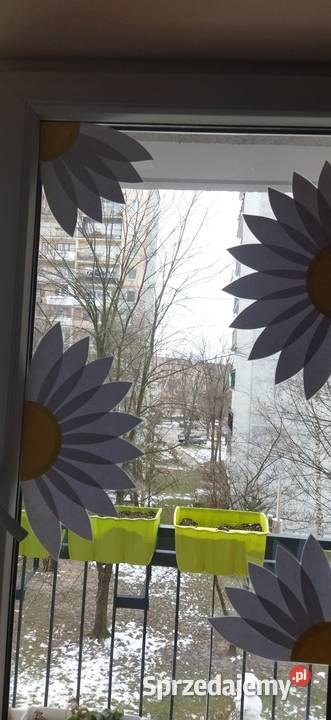 Stokrotki dekoracja na okna dwustronne Nowy Sącz sprzedam