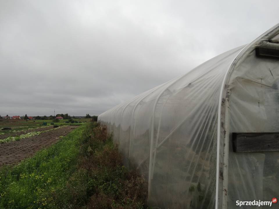 Tunel foliowy o wymiarach 32m x 7m Panieńszczyzna