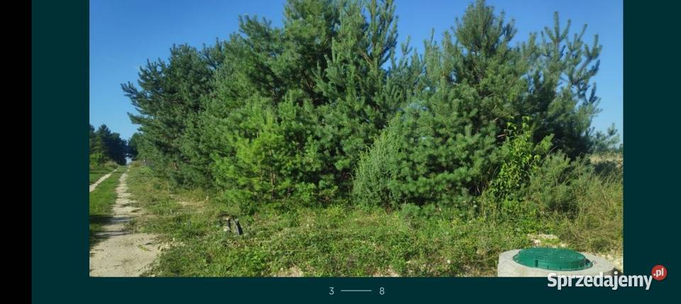 Działka rekreacyjna Chańcza 6a prądwoda 208zł/m2 Staszów