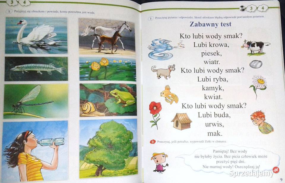 Wesoła szkoła i przyjaciele kl 1 Stanisława miękka Chełm