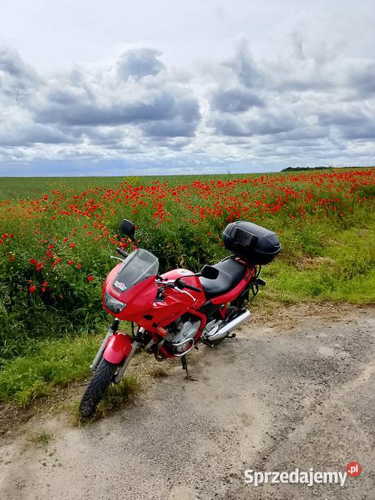 Yamaha XJ 600 S turystyczny Kąty Wrocławskie