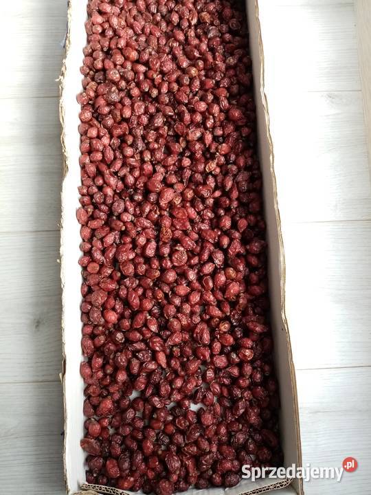 Sprzedam suchą dziką róże owoc Pozostałe Kraków