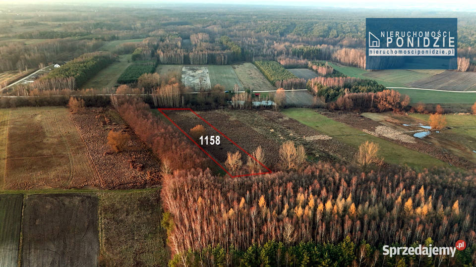 Działka rolna 059 ha Skrobaczów gm Stopnica