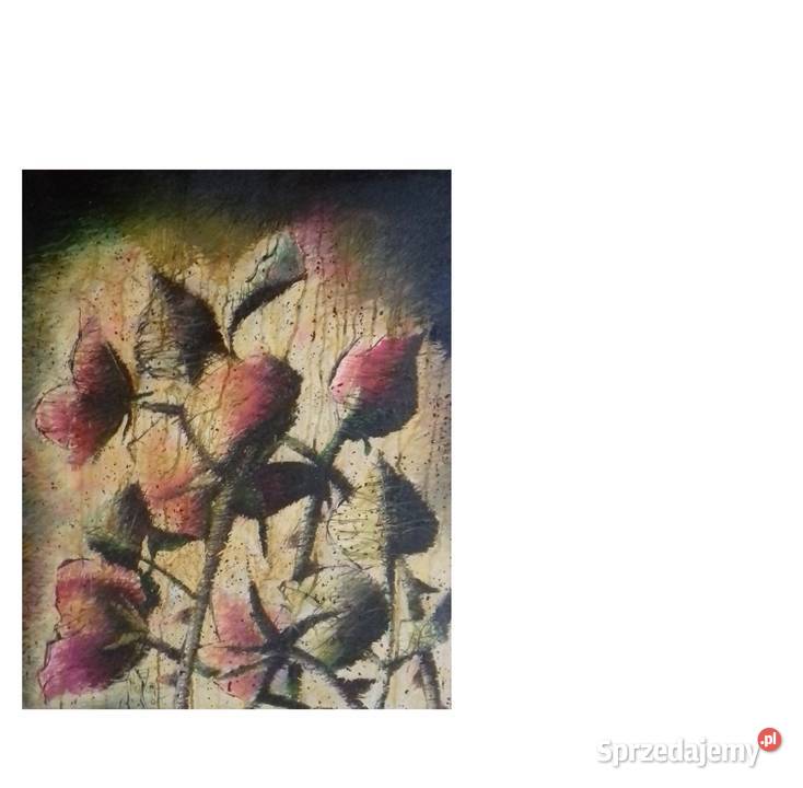 Tornada Róże podkarpackie Jarosław