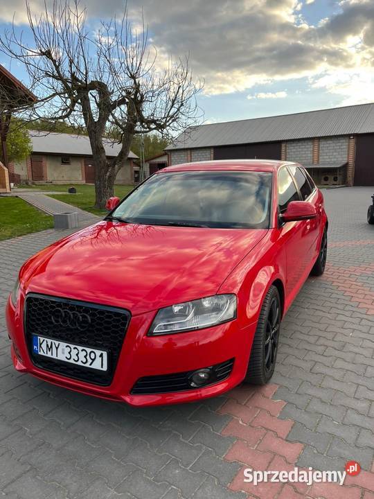 Audi A3 8P 2010 nieuszkodzony Wojsławice