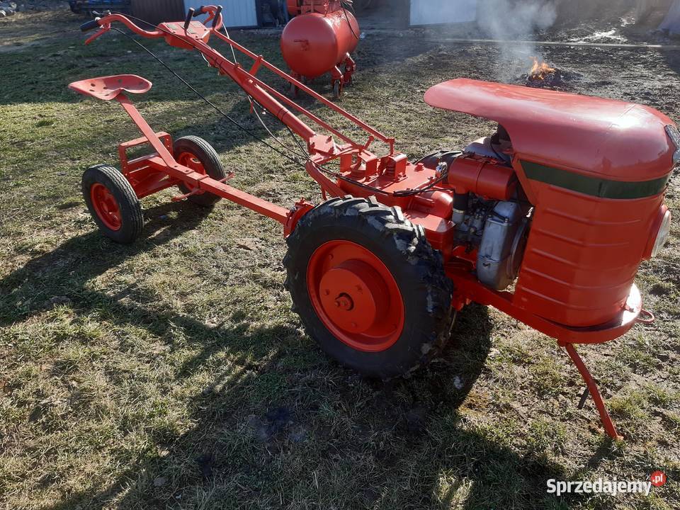 Dzik 21 lisek traktorek Zamość