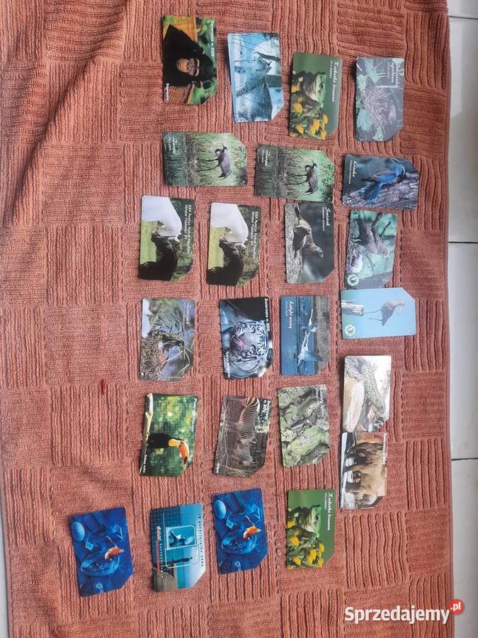 karty telefoniczne 260 sztuk Oleśnica