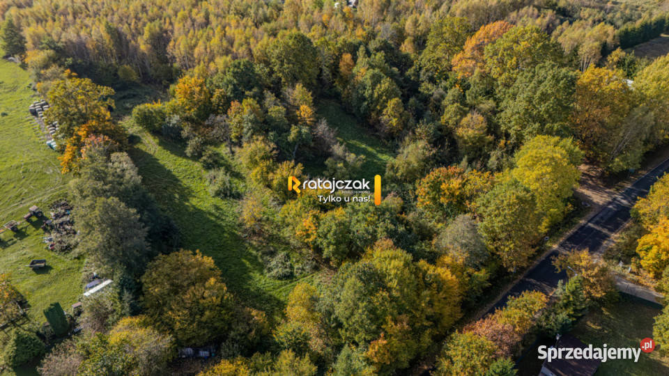 Grunt Ciekocino Dębowa 6066m2 6066m2