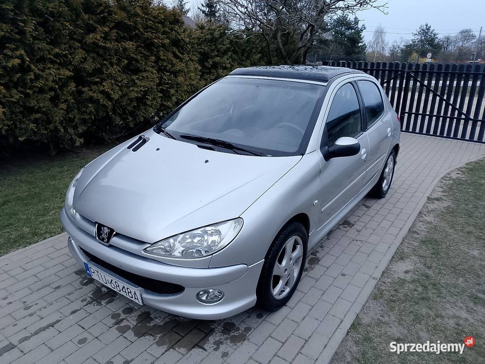 Peugeot 206 srebrny wielkopolskie