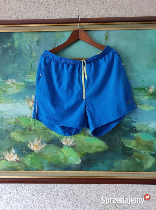 4F szorty spodenki męskie do biegania sportowe Kielce