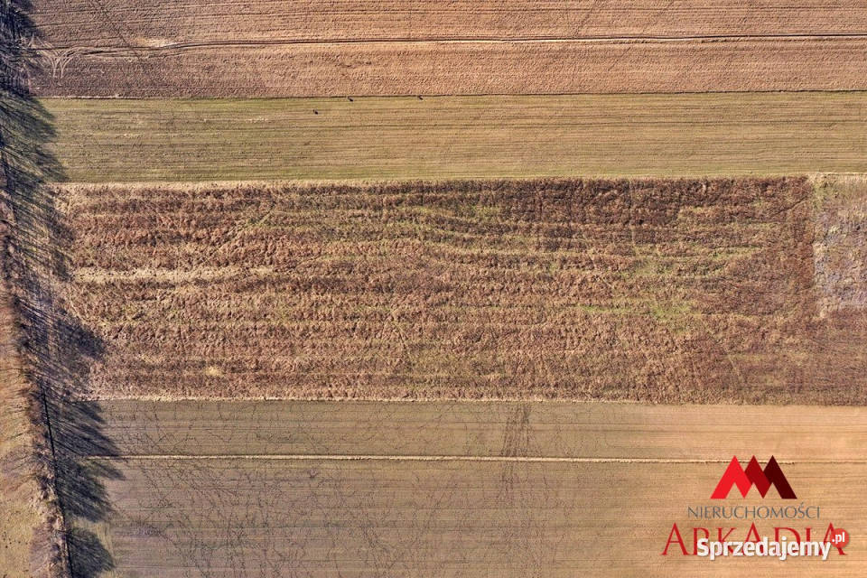 Ogłoszenie grunt Świątkowice 1000m2
