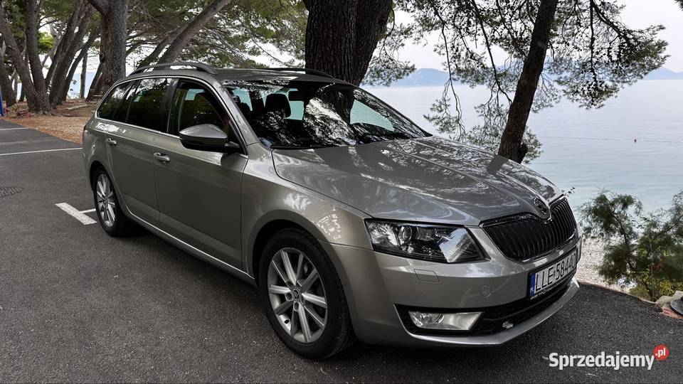 Octavia 20 TDI Bixenon Canton pół skóra duża Milejów-Osada