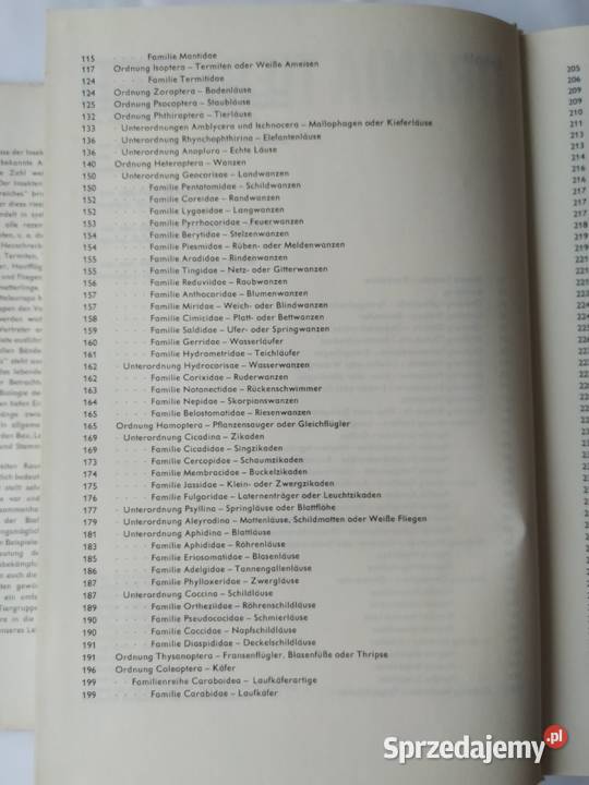 URANIA TIERREICH Insekten Hajnówka