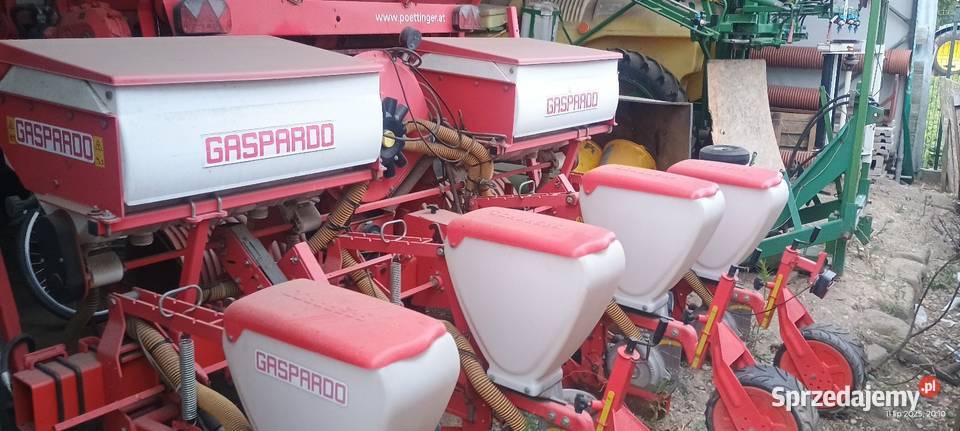 Siewnik do kukurydzy gaspardo sp540 Gana sprzedam