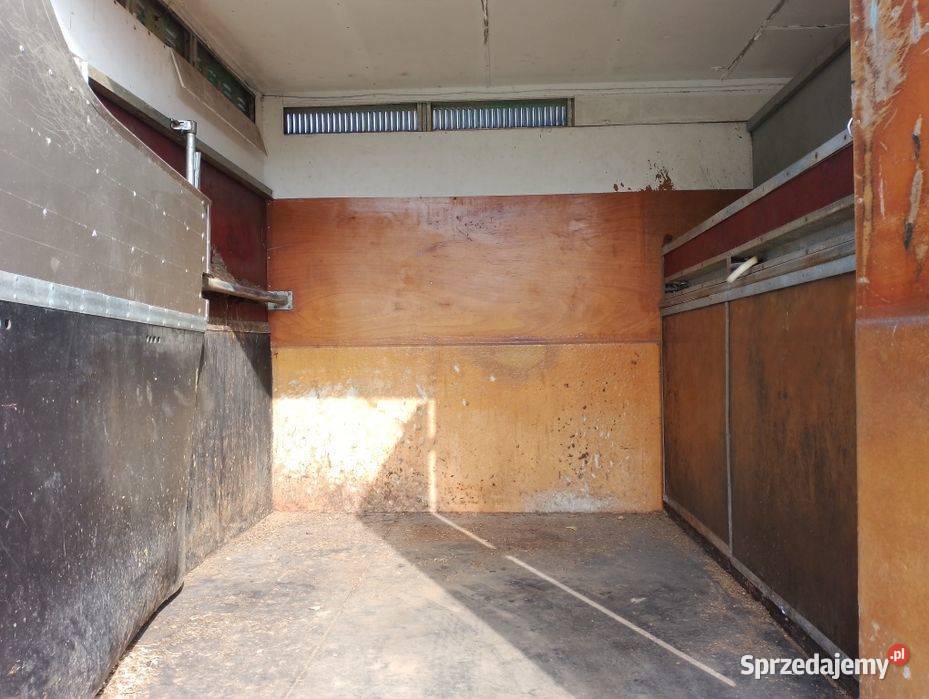 Mercedes 814 koniowóz do przewozu koni do diesel Specjalne Narol