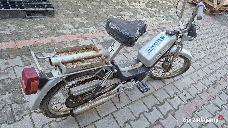 Jawa babetta Hryniewicze