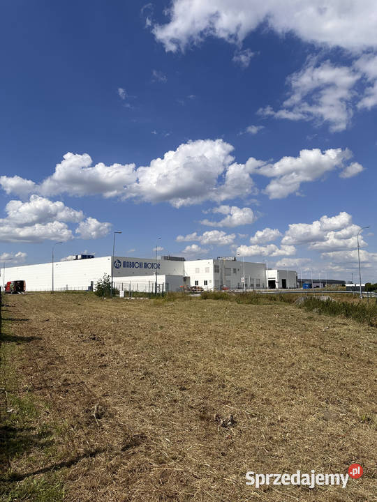 MULCZOWANIE TRAWY Koszenie nieużytków Karczowanie i usuwanie drzew śląskie Pyskowice