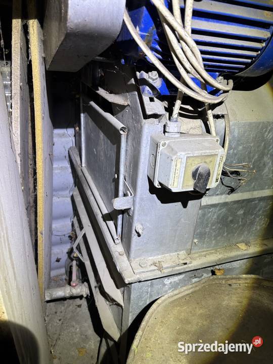 Płuczka myjka do warzyw ziemniaków marchwi