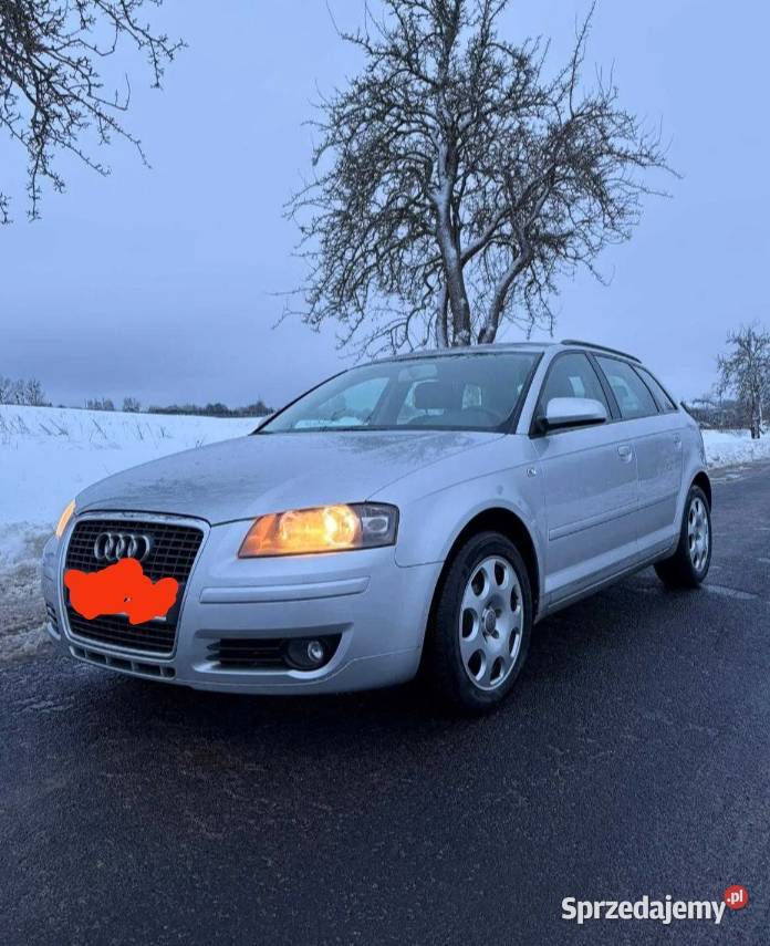 Sprzedam Audi A3 P8 BG 2008 ABS Wrocław