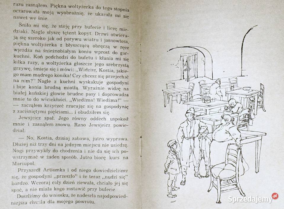 Czarodziejska szkatułka Iwan Wasilenko Pozostałe lubelskie Chełm