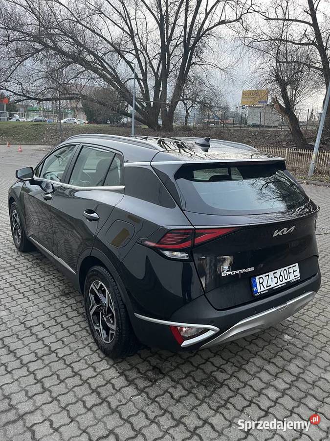 Kia Sportage 16 TGDI podkarpackie Borówki