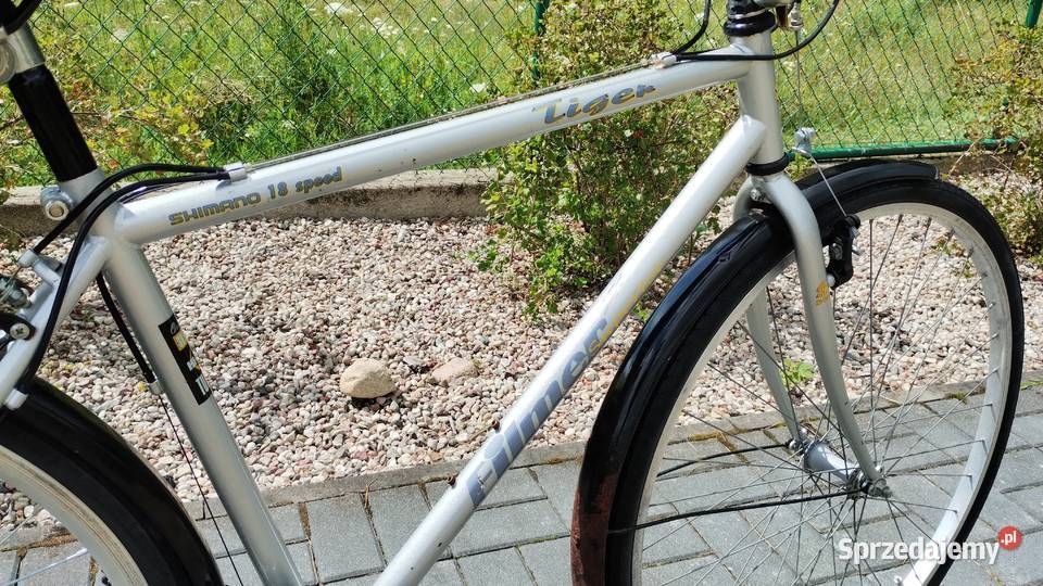 Rower Tiger Filmer Superior Shimano 18 Speed Dziemiany