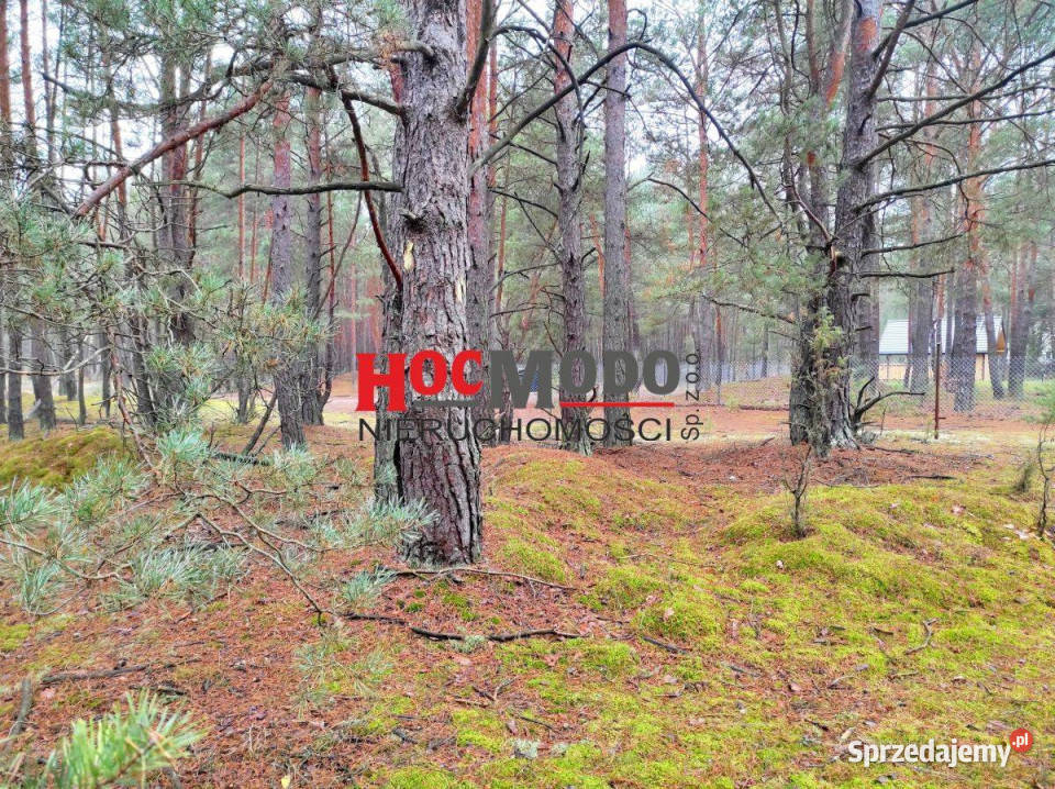 Rekreacyjne działki leśne w Popowie Letnisku rekreacyjna