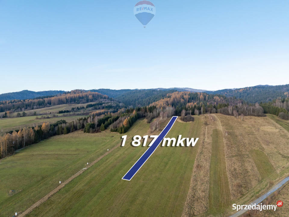 Twój kawałek natury w Ostrowsku Ostrowsko