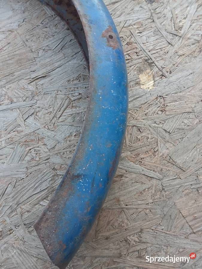 Komar błotnik przód Milejewo