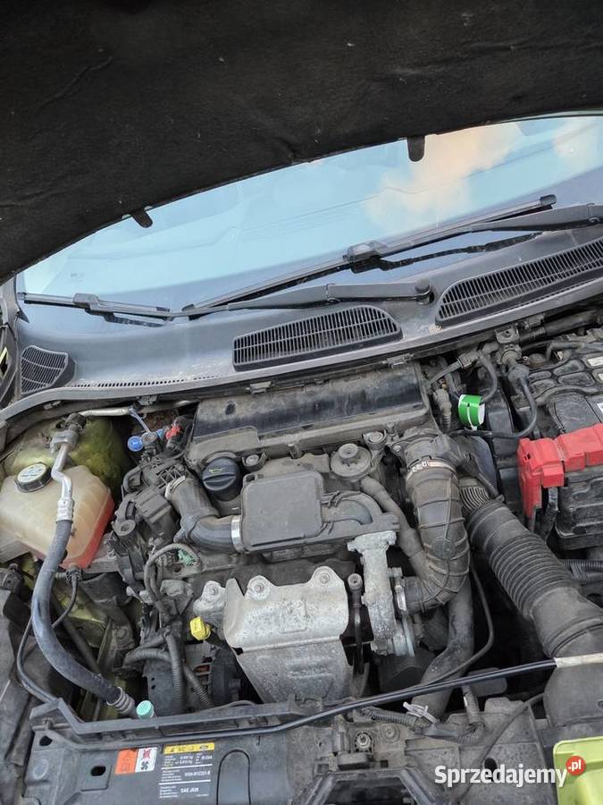 Ford Fiesta mk7 Zaborowice