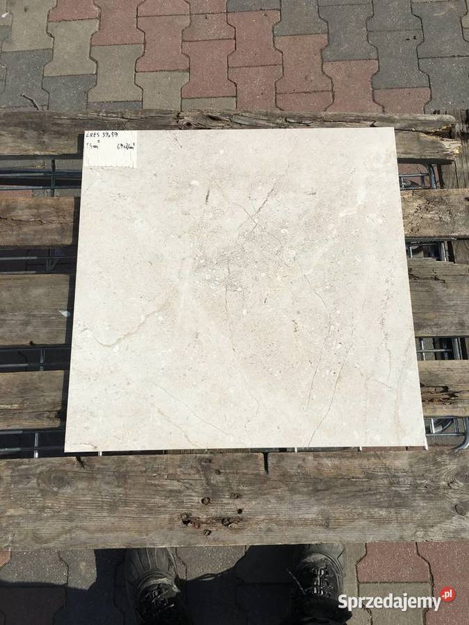 Gres płytka podłogowa lold marfil poler 59x59 Reguły