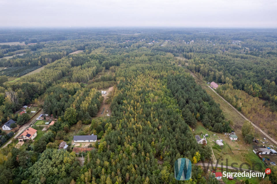 Grunt 133548m2 Nowa Bukówka Gajowa szambo