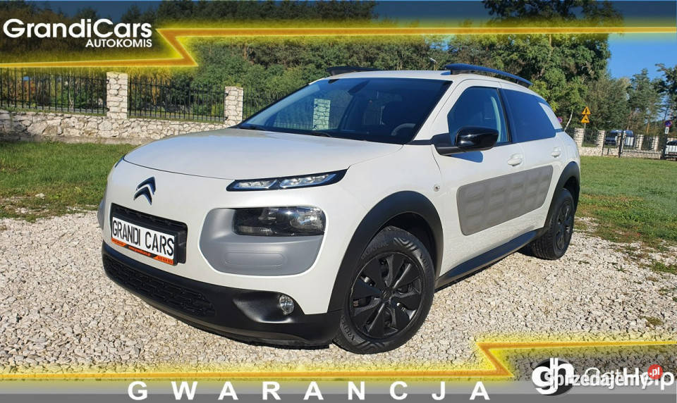 Citroen C4 Cactus 16 HDI Navi Kamera Parktronic