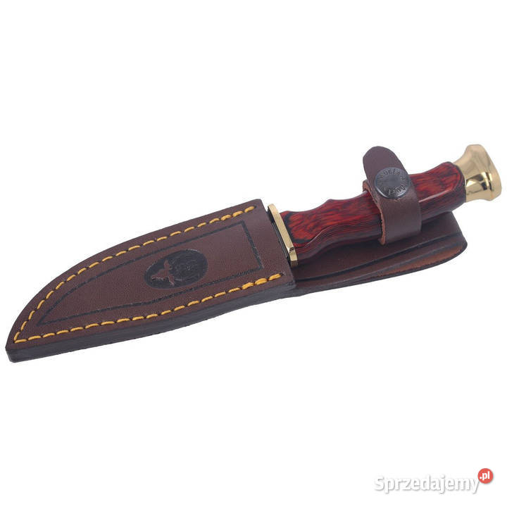 Nóż Muela BWF10 Pakka Wood Stain X50CrMoV15 mazowieckie Warszawa