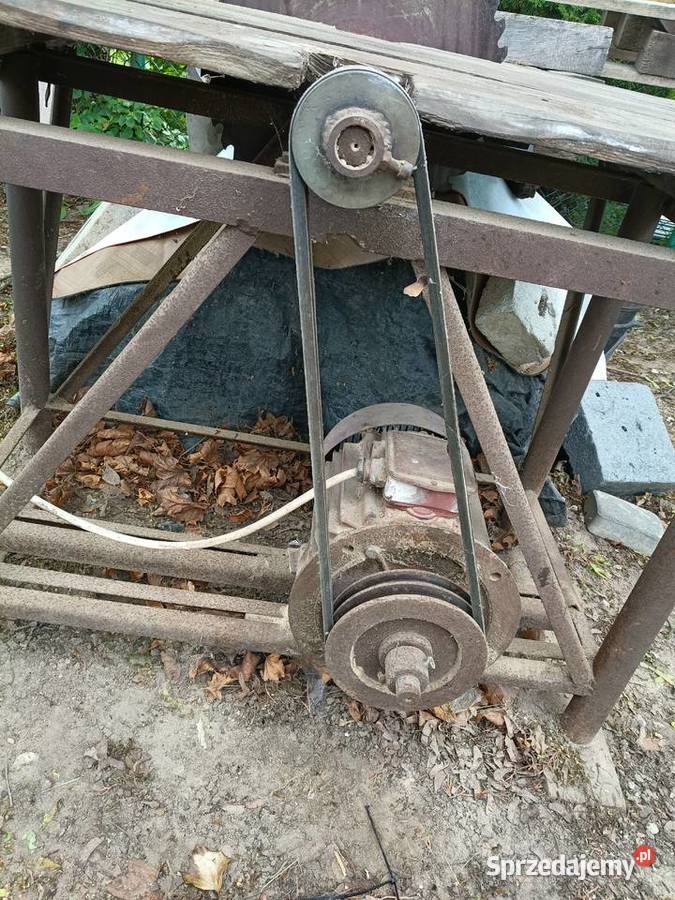 Krajzega do drzewa Domanice-Kolonia