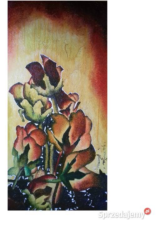 Archidiecezjalne Piwonie Jarosław