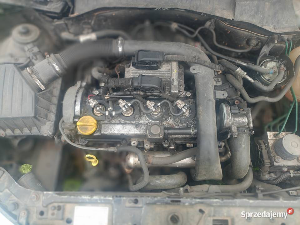 Corsa C 2004 r 17 Isuzu sprawna technicznie Golub-Dobrzyń