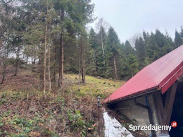 Syndyk Sprzeda udział 12 działka I Przetarg 7zł/m2 Jaworzynka