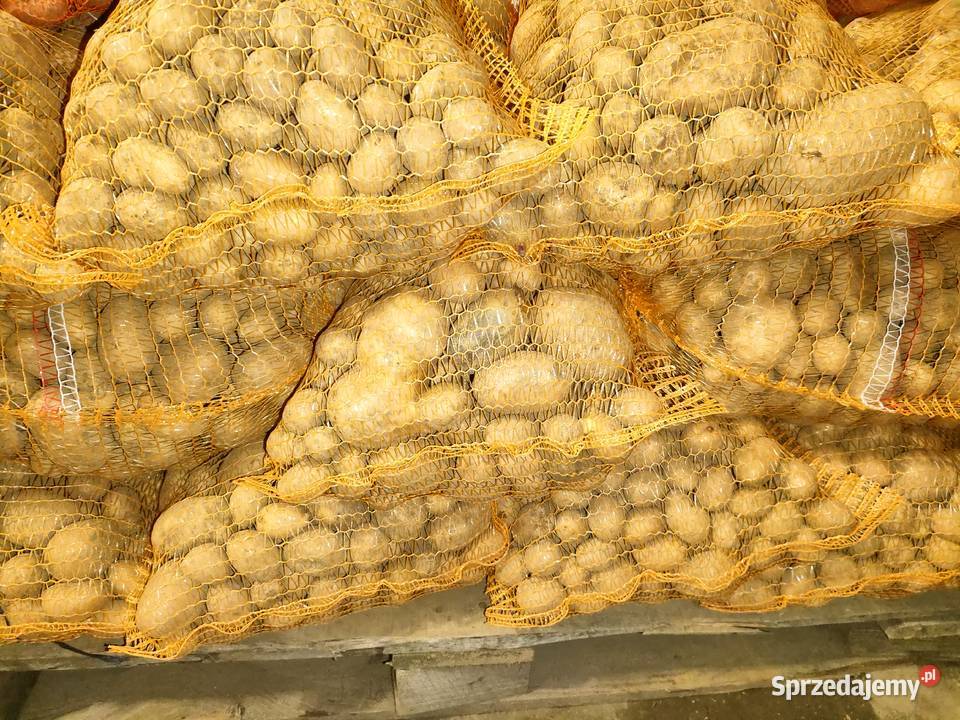 Ziemniaki zwierząt odpadowe Maciejowice sprzedam