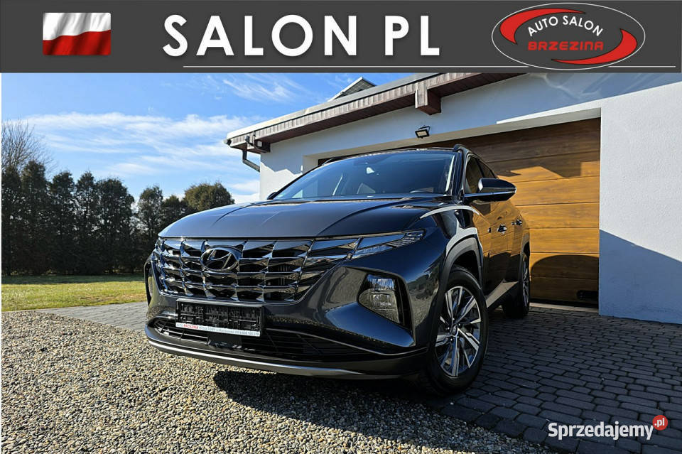 Hyundai Tucson serwis ASO Irej 2023 IV 2020 kamera cofania Rydułtowy