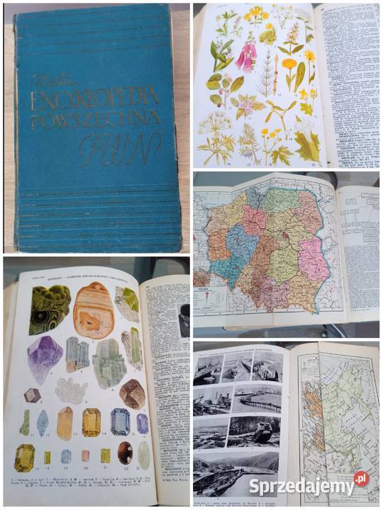 Encyklopedia PWN z 1959 roku twarda Stalowa Wola sprzedam