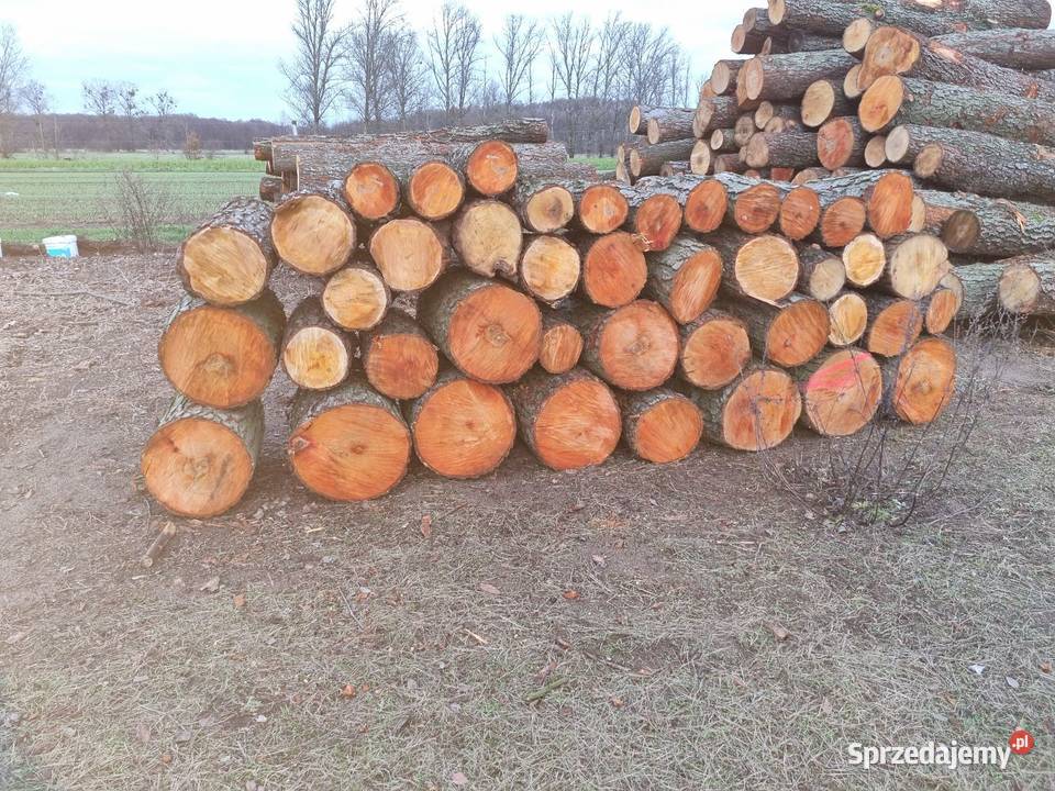 Drzewo opał olszyna inne transport Żuromin