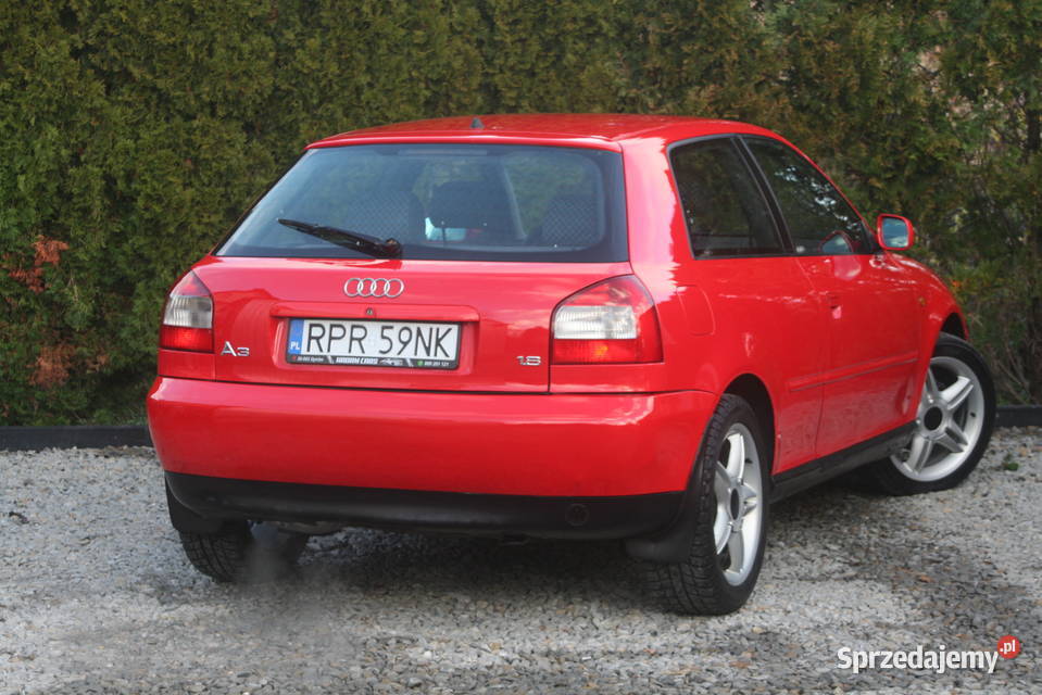 Audi A3 8L 18B LPG 125 MEGA ZADBANA ALU 17 KLIMA Samochody osobowe podkarpackie