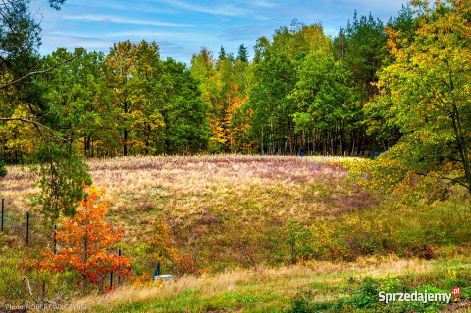 Mazowsze działka marzeń na wzgórzu las i cisza Jeziórka