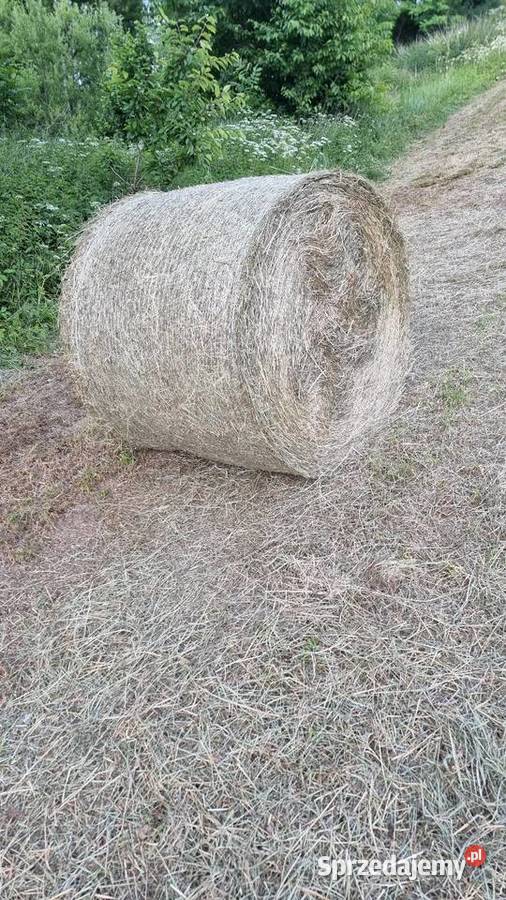 Siano rolka 120x120 Pradła sprzedam